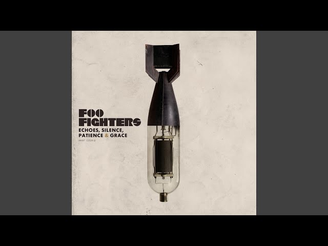 FOO FIGHTERS - STATUES