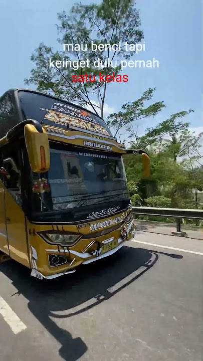 story WhatsApp bus Tri Putra Jaya 'Azzalea' #feedshorts #reels #shortvideo #shorts #berandayt