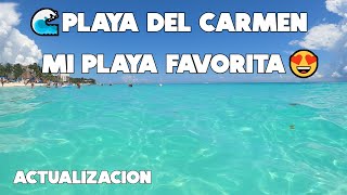 PLAYA DEL CARMEN🔴LA MEJOR PLAYA DE LA CIUDAD😍11 SEPTIEMBRE🌴PLAYAS HERMOSAS