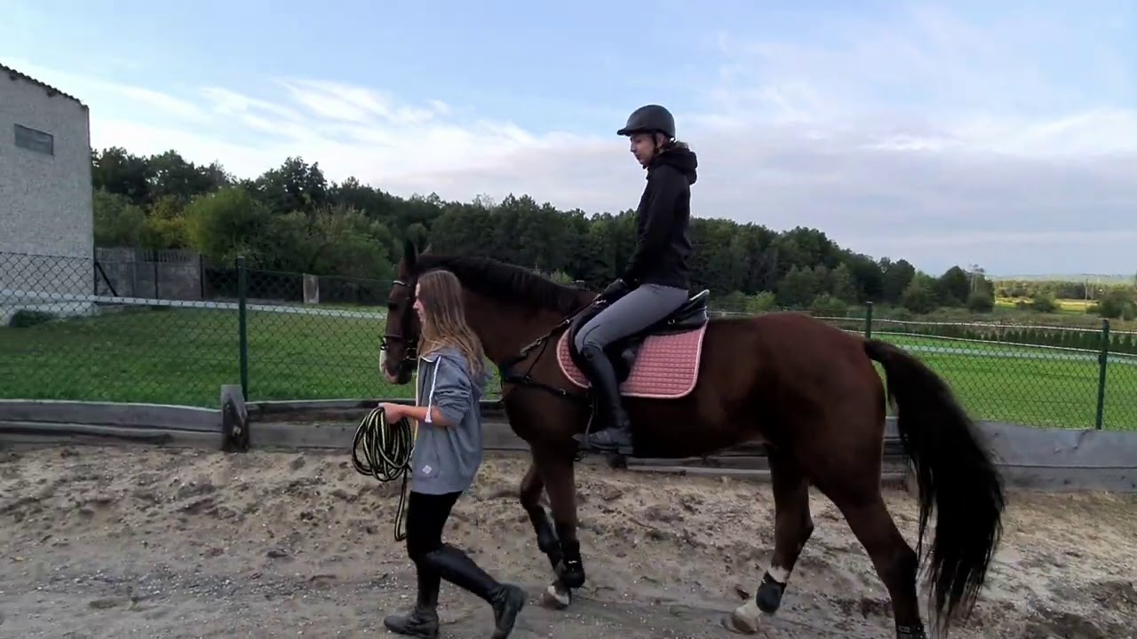 Jazda konna Lekcja 1