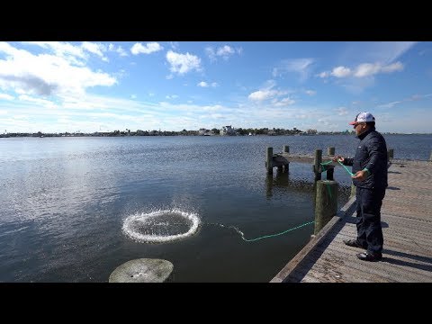 (S3 Ep40) Bank Fishing Galveston Texas - YouTube