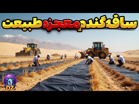 چینی ها 900 میلیون ت ن ساقه گندم زیر خاک بیابان دفن کردن نتیجه این کار چیشد