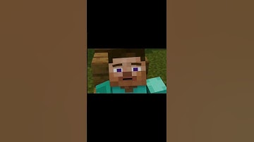 The Reversed Reality VS Steve and Alex Minecraft animation