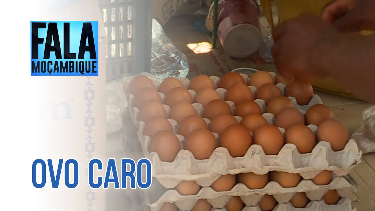 Ovo importado sufoca produção nacional