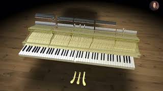 Visual Piano - Simulation Of Piano Mechanics