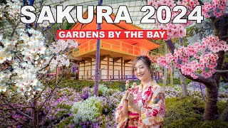 Singapore Gardens By The Bay | Sakura 2024 Tour