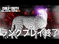 チーター大量発生でランクプレイが終焉へ...[BO6]