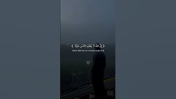 #القارئ عبدالرحمن مسعد #القران_الكريم