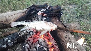 Câu Cá Thấu Đêm, Thú Vui Mới Vừa Câu Vừa Nướng Ăn || Biu Tc