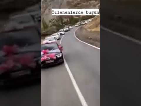 aşiret düğün konvoyu
