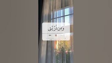القارئ سعد الغامدي -ما تيسر من سورة ابراهيم