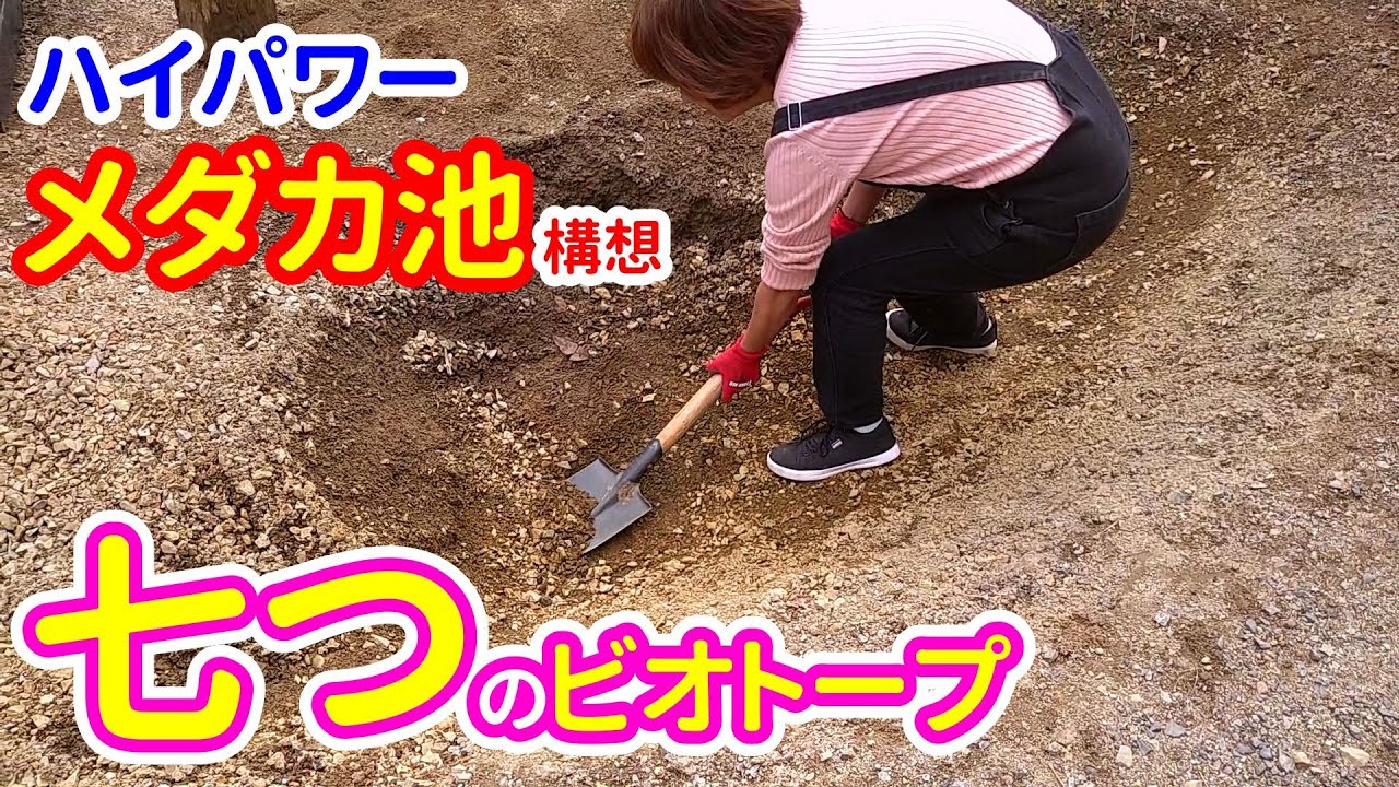 メダカがたくさん繁殖するビオトープを目指して 七つの池で作るメダカビオトープの理想郷 メダカとウーパールーパーが豊かに生きるビオトープ 13 Youtube メダカがたくさん繁殖するビオトープを目指して 七つの池で作るメダカビオトープの理想郷 メダカとウーパールーパーが豊かに生きるビオトープ 13 Youtube
