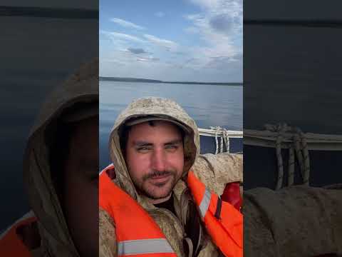 Несколько фишек для ведения вашего телеграм канала #shorts