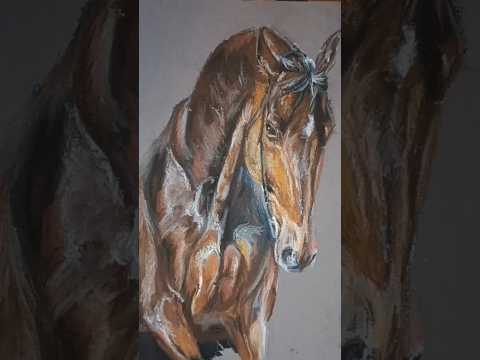 Рисуем лошадь чистокровной верховой породы