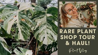 Rare Plant Shop Tour and Haul!! | Sport Variegation Find | Uncommon Houseplants
