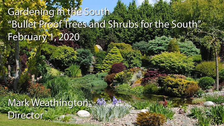 "Bullet Proof Trees and Shrubs for the South"
