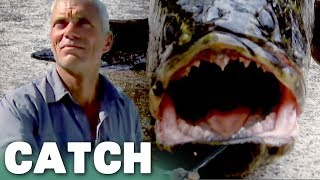 Snakeheads: The Suburban Invaders | River Monsters | Catch