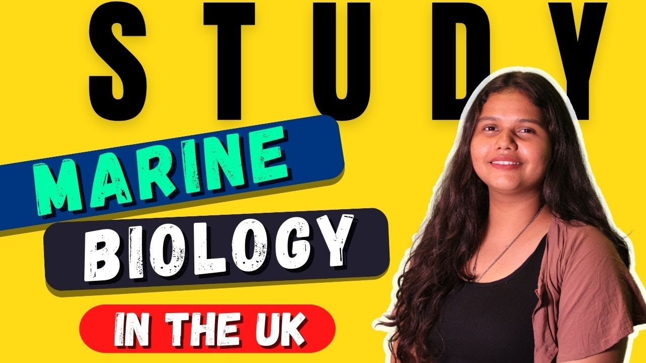 Pursue Your Passion for the Oceans with an MSc in Marine Biology in UK studyinuk marinebiology