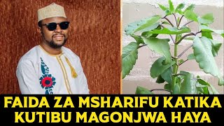 FAIDA ZA MMEA WA  MSHARIFU KATIKA KUTIBU MAGONJWA NA KUFUKUZA UCHAWI KATIKA MAISHA YAKO