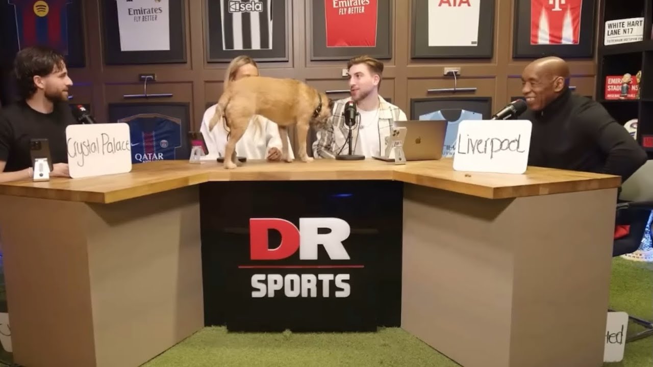 Alys the dog with 3 CRAZY predictions 🤯