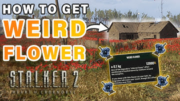 How to Get The Weird Flower Artifact  | Poppy Field Anomalous ► STALKER 2: Heart of Chernobyl