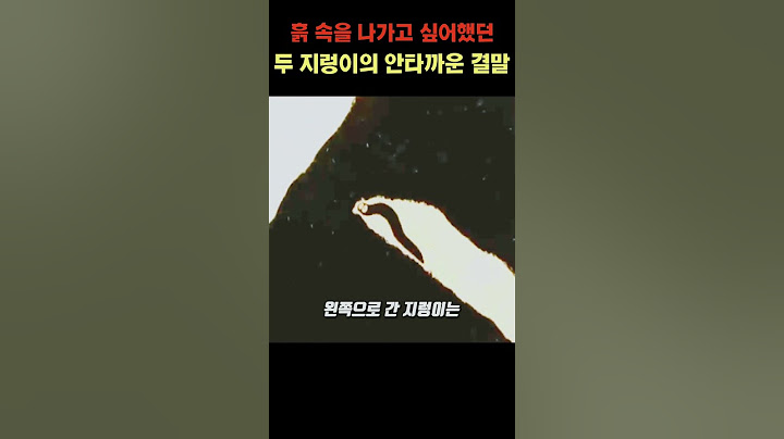 흙 속을 나가고 싶어했던 두 지렁이의 안타까운 결말
