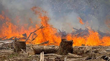 Slash and burn and uncontrolled fire in Timor-Leste