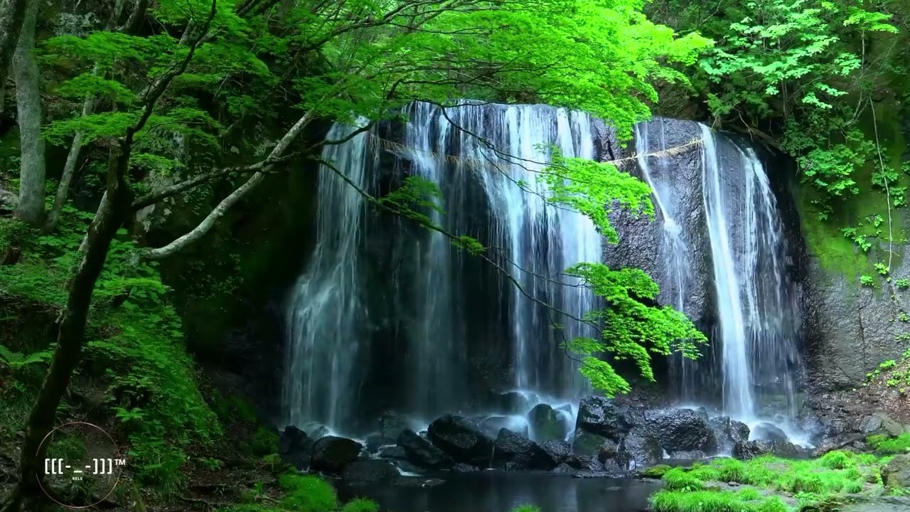 Forest Waterfall Nature Sounds - Rocky Mountain River | RELX
