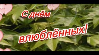 С днём влюблённых (Сделать музыкальное слайд-шоу)