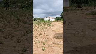 vendo linda propriedade 68 hectares bodoco pé 8799102 3154  / 8799603 8560