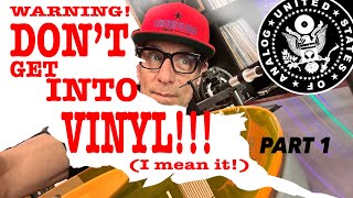 WARNING! DON'T Get Into Vinyl  PART1  A Beginner's GUIDE