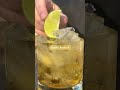 "vodka red bull cocktail" Easy and full of energy