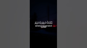 اللَّهُ نُورُ السَّمَاوَاتِ وَالْأَرْضِ ۚ | تلاوة خاشعة للشيخ ياسر الدوسري