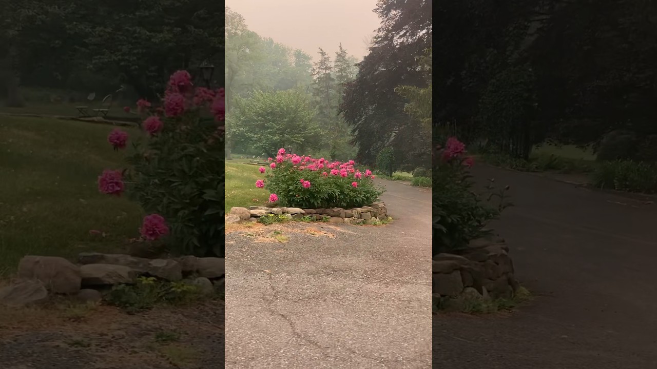 Despite the smoke still beautiful 