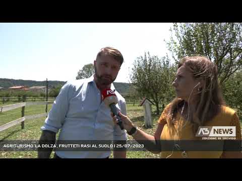 AGRITURISMO 'LA DOLZA', FRUTTETI RASI AL SUOLO | 25/07/2023