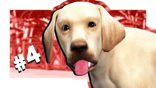 The Sims 4 Кошки и собаки #4 Щенок подрос! The Sims 4 Кошки и собаки #4 Щенок подрос!