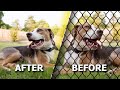 How to remove a Chain Link Fence from images! | Photoshop Tutorial