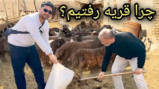 Download Lagu به قریه(دهات) رفتیم/ شستن فرش ها/ کشت و کار در حویلی پدر و مادرم/ شکیباعزیز MP3