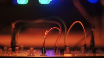 Stalkaburra (volca modular & nts-1)