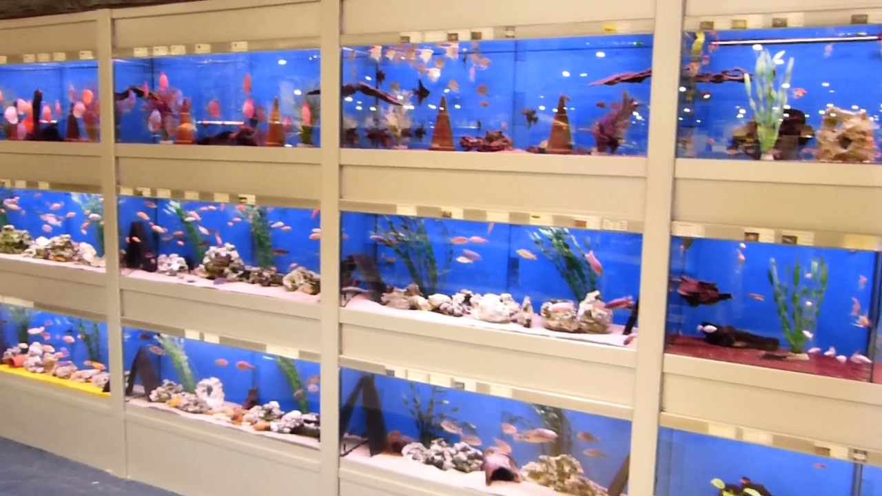 360 Grad Aufnahme im Fressnapf XXL in Augsburg: