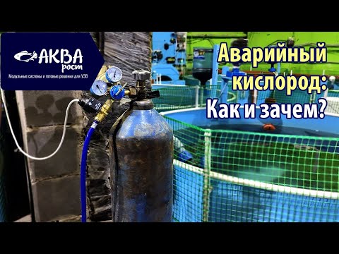 Аварийный кислород в УЗВ: как и зачем?  #система #узв #рыба