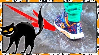 Во всем виновата ЧЕРНАЯ КОШКА жди неприятностей Во всем виновата ЧЕРНАЯ КОШКА жди неприятностей