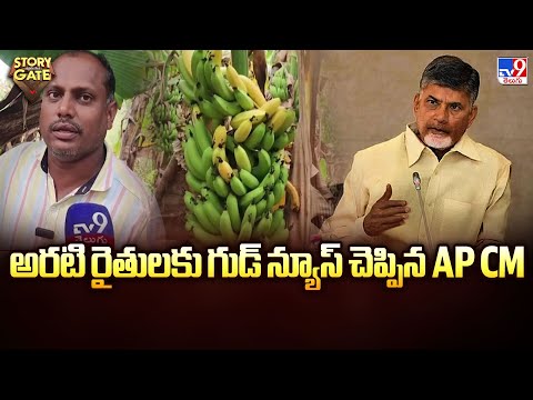 Story Gate : అరటి రైతులకు గుడ్ న్యూస్ చెప్పిన AP CM - TV9 - TV9