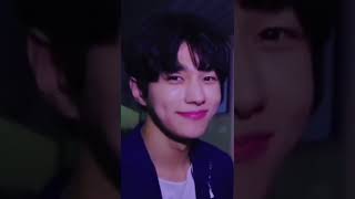 all about kim myungsoo INFINITE L