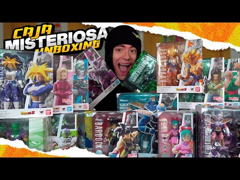 We opened a DRAGON BALL MYSTERY BOX!
