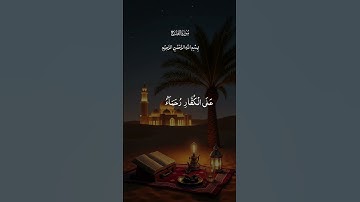 #القارئ سعيد الغامدي تلاوات خاشعه 😌 أريح قلبك ونفسك 😌🫀