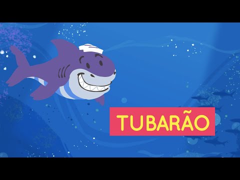 Pé de Sonho | Tubarão