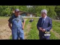 Garden Spot: The Strawberry Patch