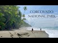 Corcovado national park costa rica  the most biologically intense place on earth