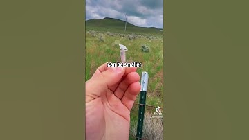 a nano cache is the smallest sized geocacher that there is, theyre technically categorized as micro!